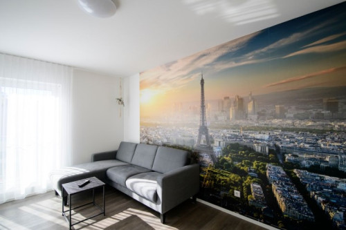 Wonderful & great flat in Saarbrücken - Gallery - 15