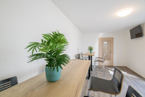 Wonderful & great flat in Saarbrücken - Gallery - 10