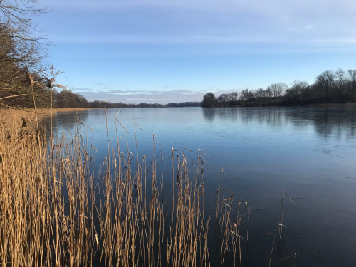 Lovely, cozy house with garden & fireplace
