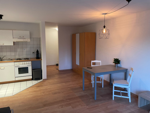 Modern and charming apartment located in Merseburg - Gallery - 2