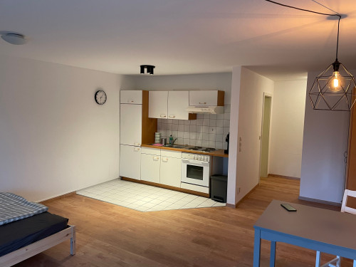 Modern and charming apartment located in Merseburg - Gallery - 3