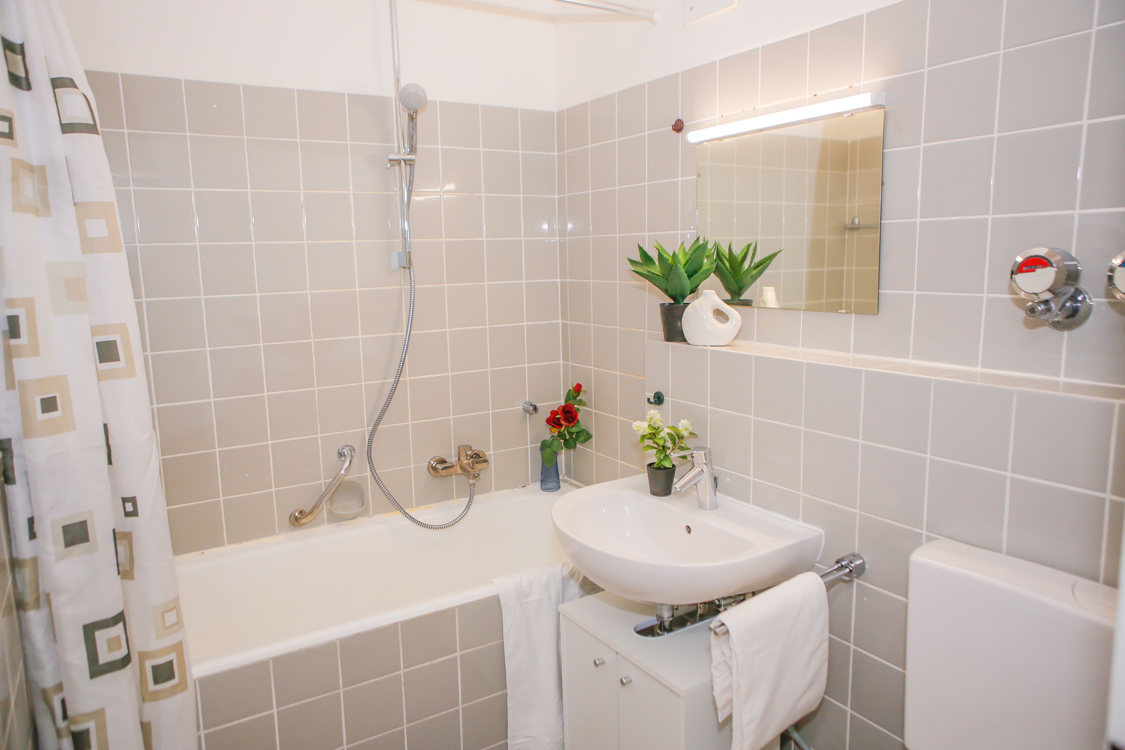 1-Room-Appartment In Lahr/Schwarzwald - 1-room-appartment in Lahr/Schwarzwald - Gallery - 6