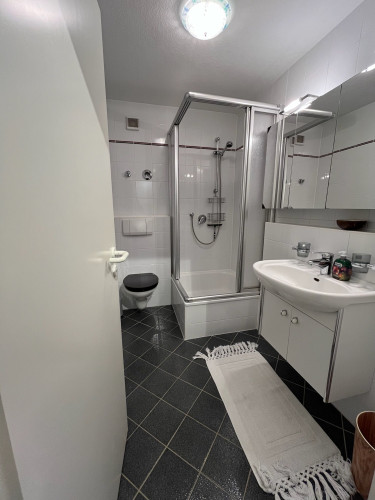 Stylish, furnished apartment with balcony and fitted kitchen near the lake - Gallery - 6