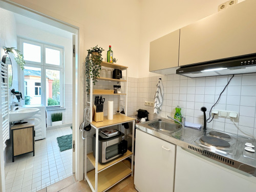 Fantastic Suite in Schwerin Near Central Station  - Gallery -  5