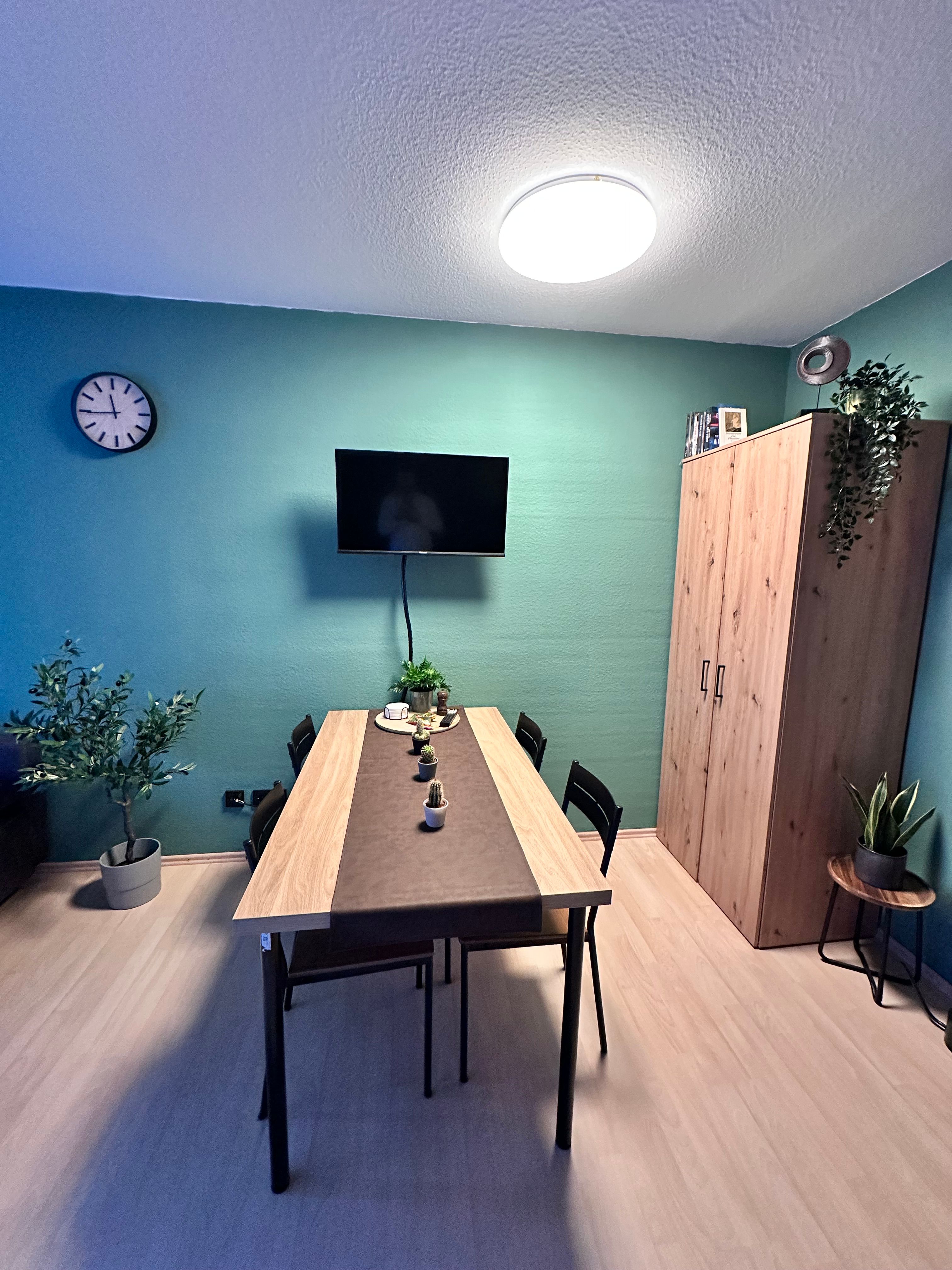 Beautiful, Quiet Temporary Apartment. Live Where Others Go On Vacation. - Beautiful, quiet temporary apartment. Live where others go on vacation. - Gallery - 9