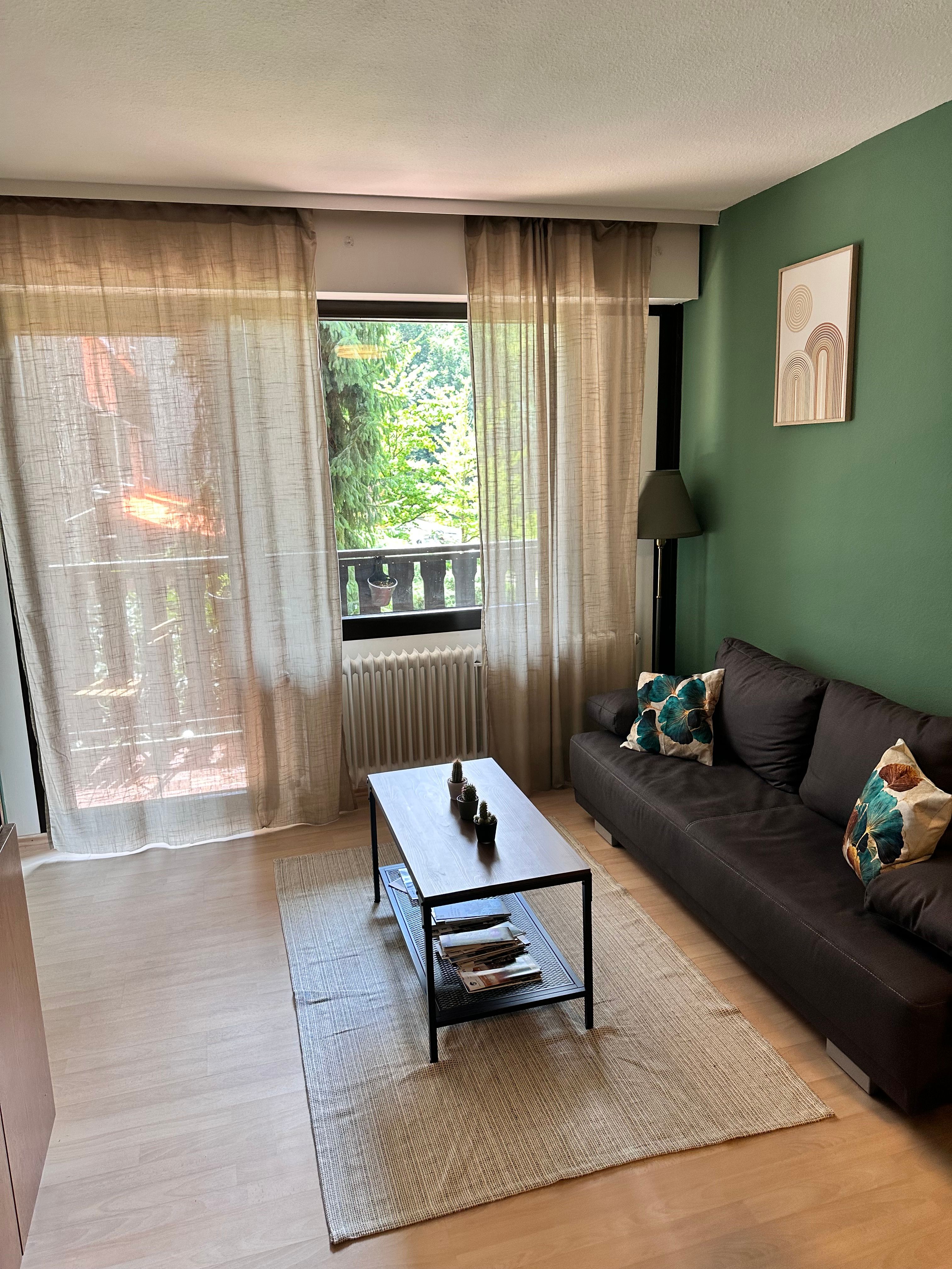 Beautiful, Quiet Temporary Apartment. Live Where Others Go On Vacation. - Beautiful, quiet temporary apartment. Live where others go on vacation. - Gallery - 30