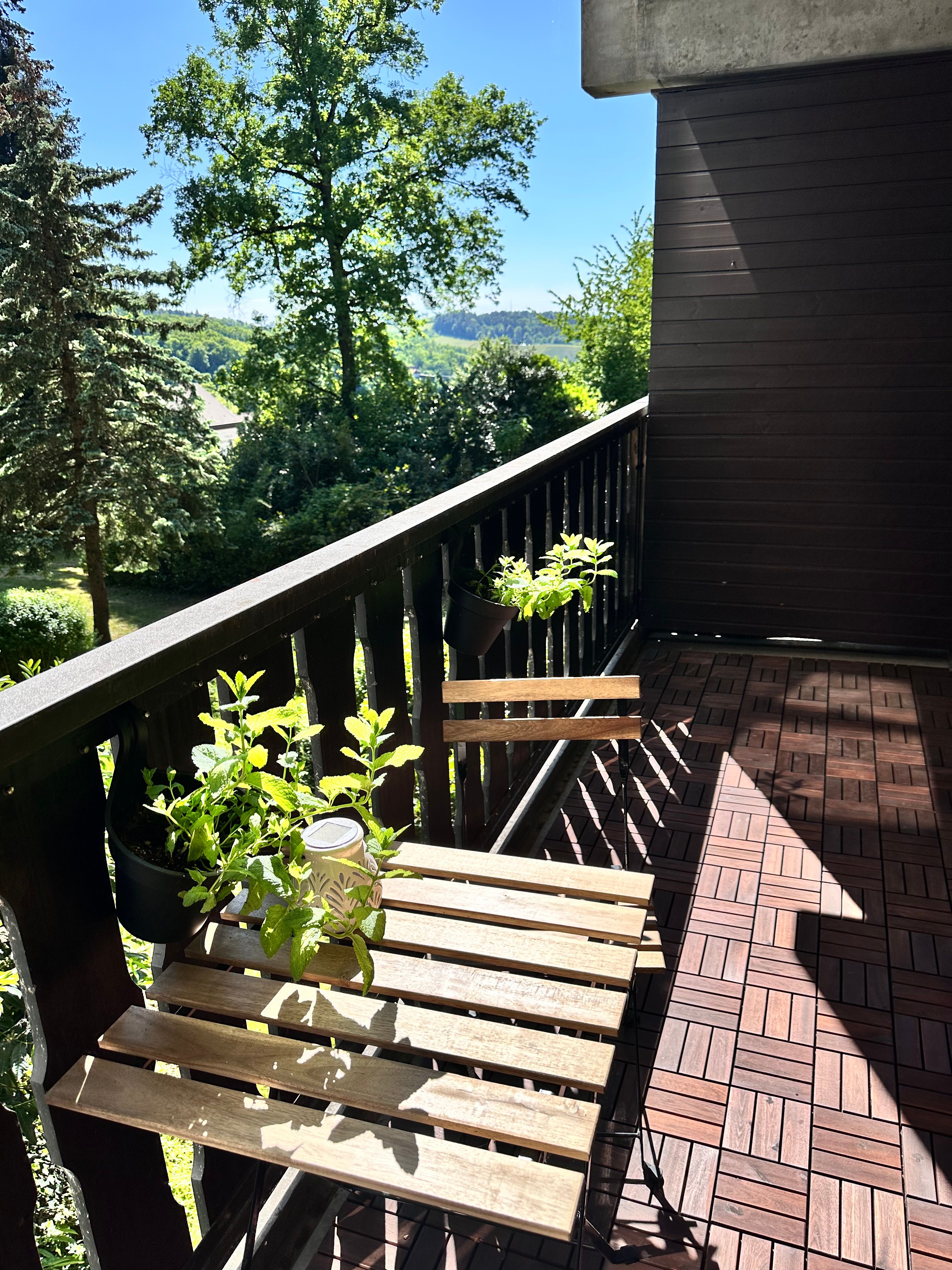 Beautiful, Quiet Temporary Apartment. Live Where Others Go On Vacation. - Beautiful, quiet temporary apartment. Live where others go on vacation. - Gallery - 19