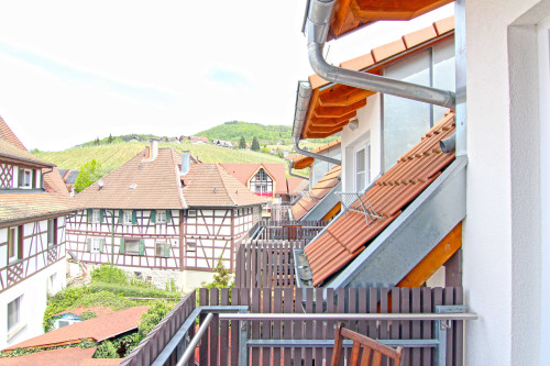 Neat & beautiful suite located in Sasbachwalden