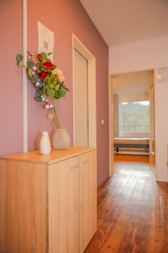 2-room-apartment in Lahr/Schwarzwald - Gallery - 9