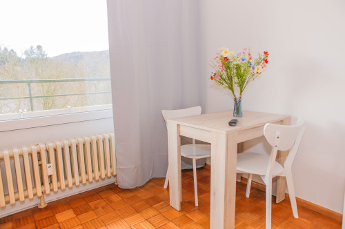 2-room-apartment in Lahr/Schwarzwald - Gallery - 11