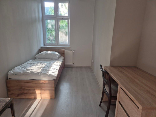 Pretty, spacious flat (Frankfurt (Oder)), central location.
