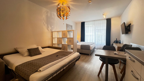 Quiet & beautiful loft in Blaustein