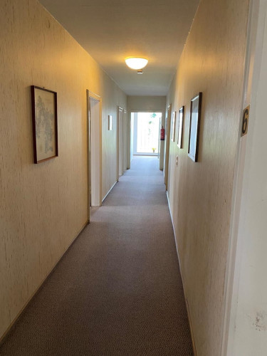 Bright & great suite