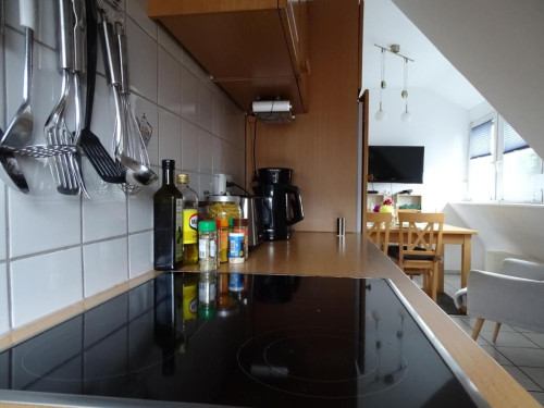 Bright apartment in Nettetal near Venlo