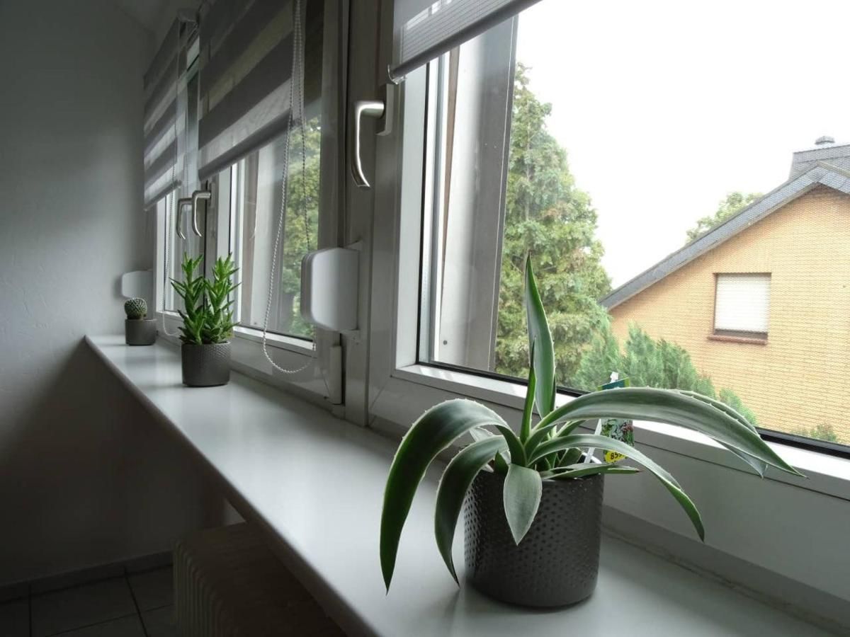  Bright Apartment In Nettetal Near Venlo  -  Bright apartment in Nettetal near Venlo  - Gallery -  16