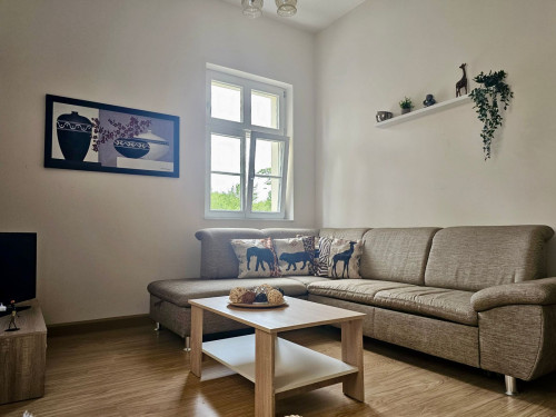 African Style in Kleinwelka - Gallery - 18