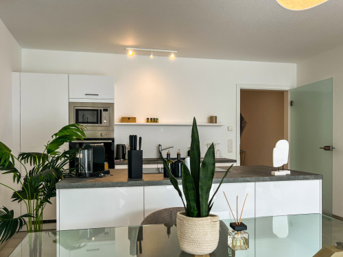 Nice & bright apartment (Cochem) - Gallery - 12