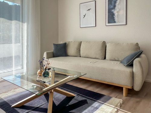 Nice & bright apartment (Cochem)