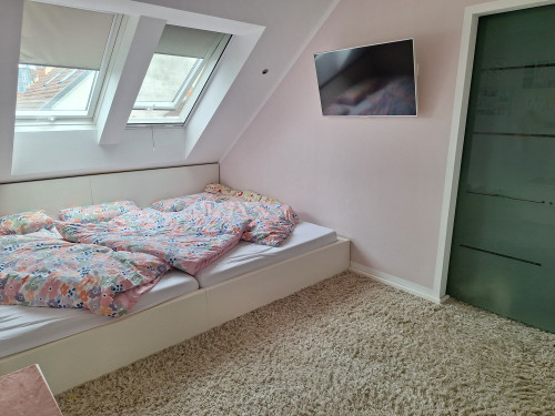 Fashionable and cute suite located in Hirschberg an der Bergstraße - Gallery - 7