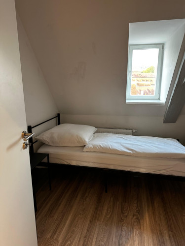 Big renovated flat in the heart of Bamberg - Gallery - 12