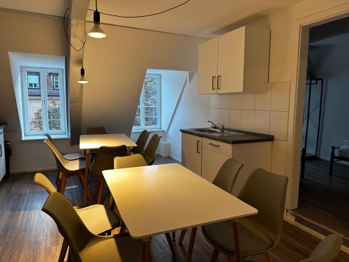 Big renovated flat in the heart of Bamberg