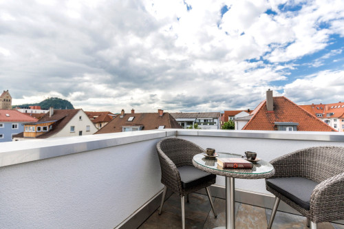 5-star penthouse serviced apartment in Singen - Gallery - 7