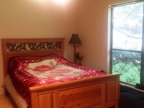 Super comfortable home, Great Hills - Gallery - 7