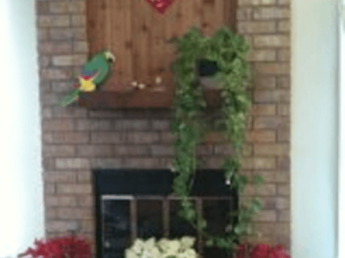 Super comfortable home, Great Hills