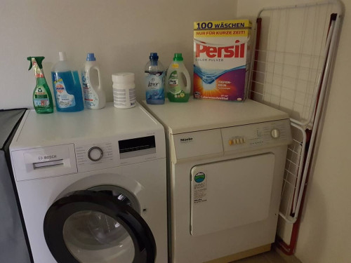 1Room Flat with sep. Entrance in Mammolshain, Königstein im Taunus - Gallery - 13
