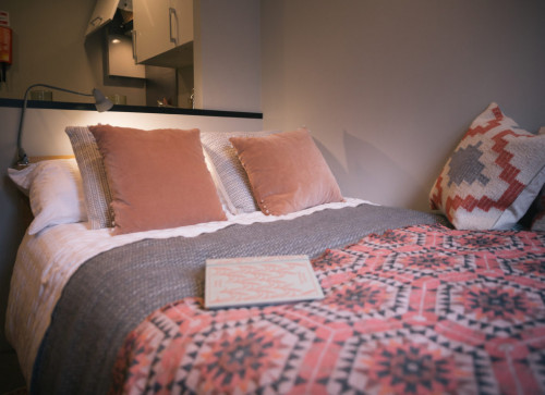 Ladybarn House  - Gallery -  5