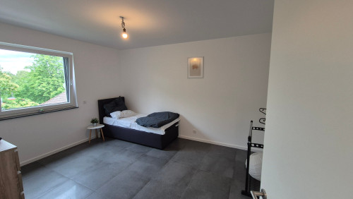 3-Bedroom Apartment in Kahl am Main