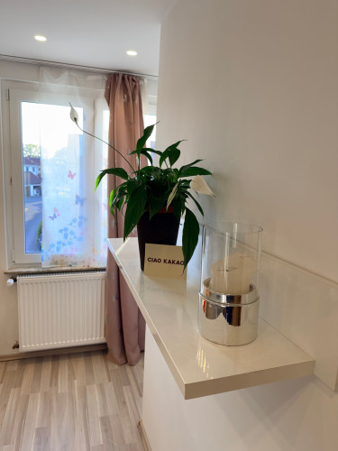 “Fully Furnished House in Havelse – Warm Rent Including All Utilities - Gallery - 30