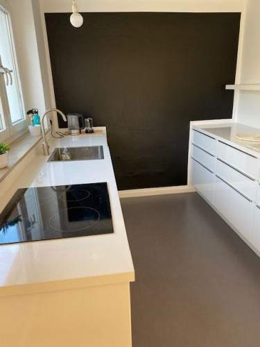 Purist Scandinavian Mood House in Hildesheim with Garden