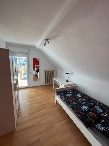 Charming loft (Rodgau)