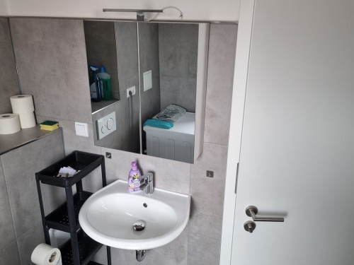 Newly Renovated Apartment near City