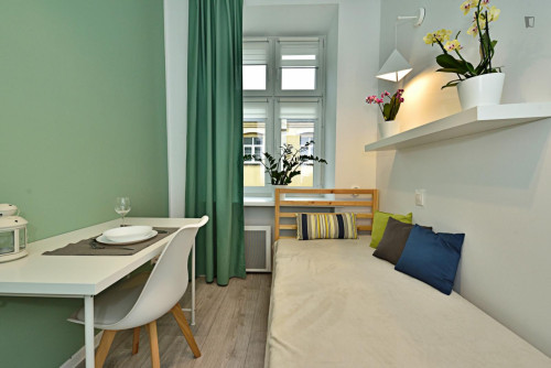 Pleasant single bedroom near the Lodz University of Technology