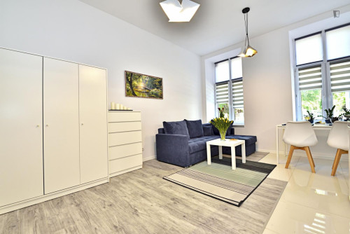 Welcoming studio in Old Polesie