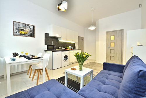 Welcoming studio in Old Polesie