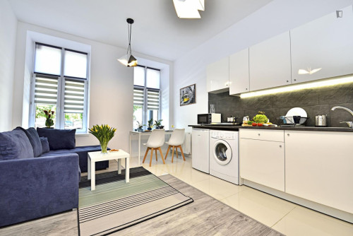 Welcoming studio in Old Polesie