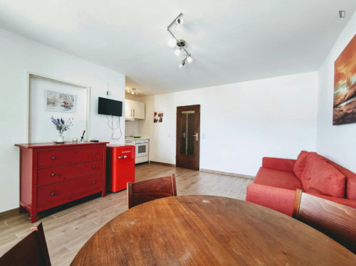 Tasteful 1-bedroom apartment in Ruhrallee Ost