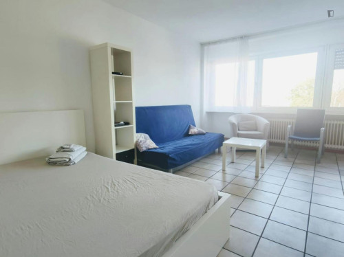 Large and bright studio in Reichshof