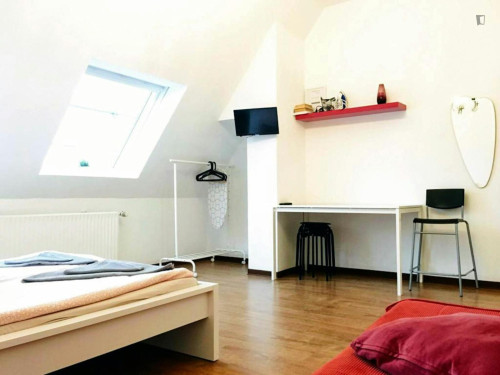 Pleasant studio in the centre of Dortmund