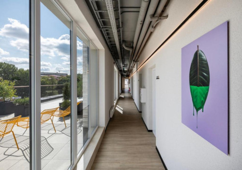 Vibrant Coliving Experience in Central Vilnius with Community Focus and Amenities