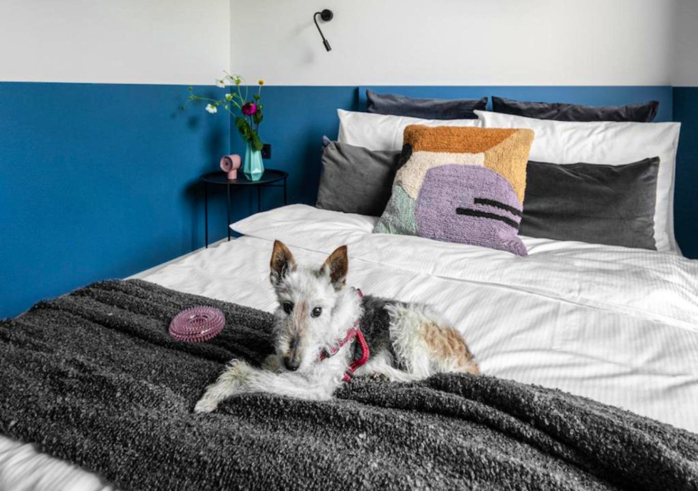 Studio - Vibrant Coliving Experience in Central Vilnius with Community Focus and Amenities Apartment - Gallery - 24