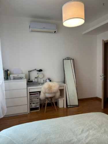 One-Bedroom Apartment in Novoli