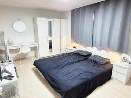 MARIO HOUSE–Cozy Homestay in Seoul