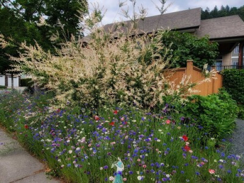 Promontory Family Home- Single Room