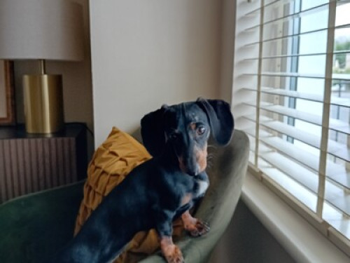 Cosy Homestay In Dublin Ireland - Gallery - 7