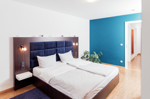 Gorgeous, fashionable suite (Heidelberg)