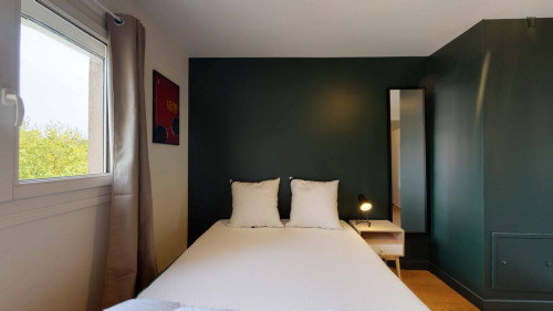 Very nice double bedroom in Créteil
